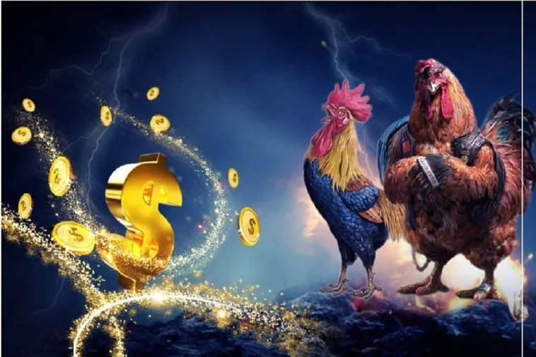 Tham Gia Đá Gà WW88: Chinh Phục Đỉnh Cao Cá Cược Kịch Tính