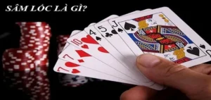 Chinh Phục Sâm Lốc WW88 Ngay Hôm Nay Để Nhận Thưởng Lớn