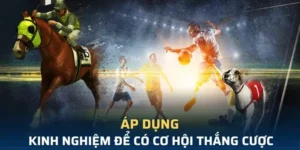 Khám Phá Cá Cược Thể Thao Ảo WW88 Và Thắng Lớn Ngay Hôm Nay!